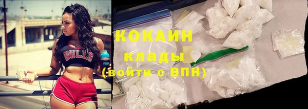 ГАЛЛЮЦИНОГЕННЫЕ ГРИБЫ Билибино