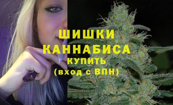 ГАЛЛЮЦИНОГЕННЫЕ ГРИБЫ Билибино