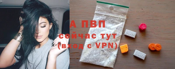 ГАЛЛЮЦИНОГЕННЫЕ ГРИБЫ Билибино