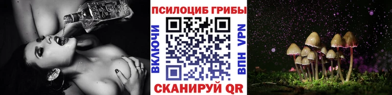 цена наркотик  Камешково  kraken tor  Галлюциногенные грибы Psilocybine cubensis 